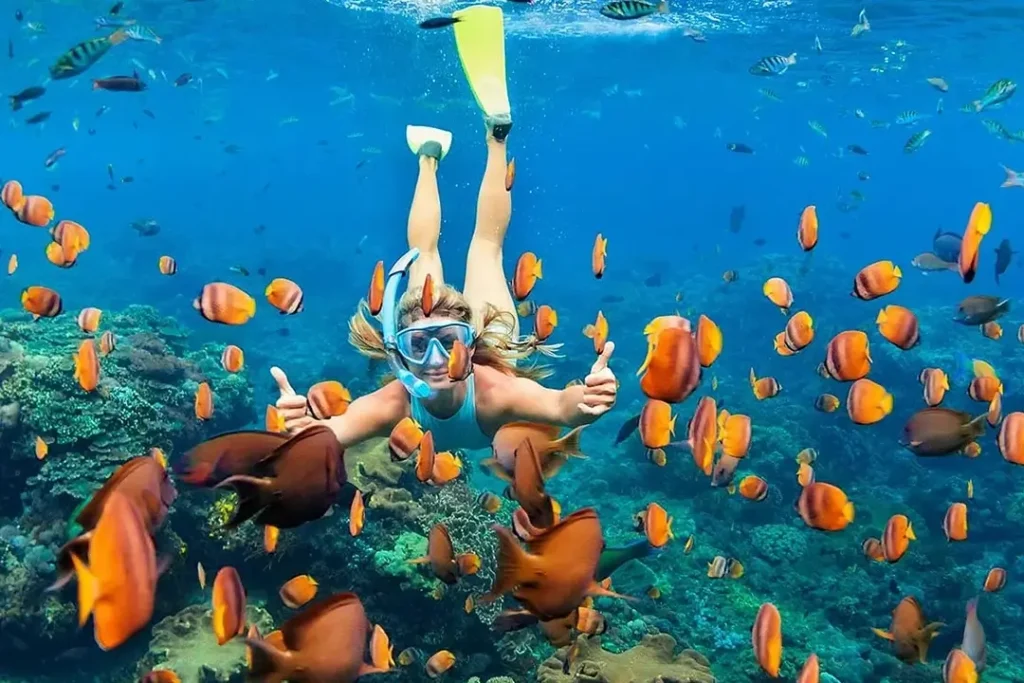 snorkeling in nusa penida made join bali tour