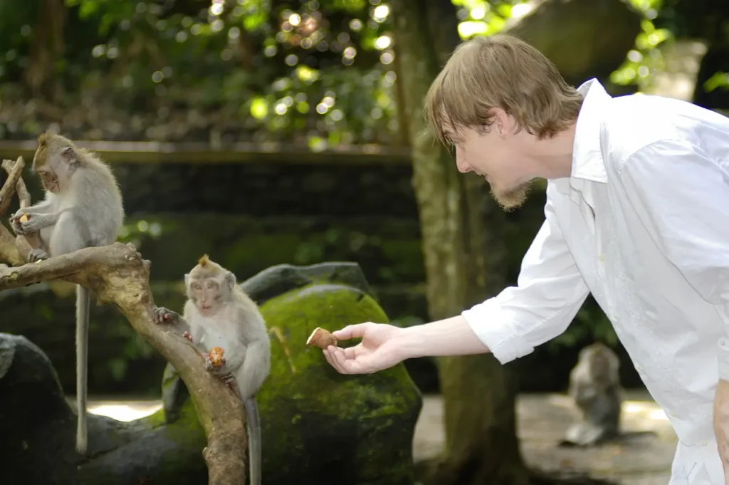 monkey forest cheap tour package ubud bali