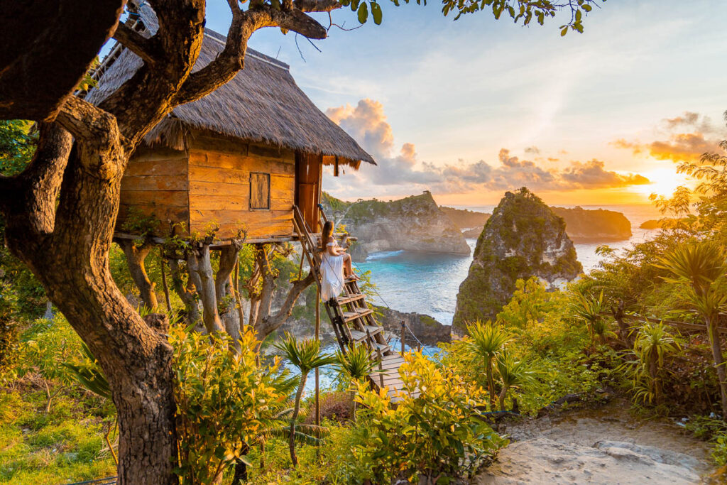 rumah pohon tree house molenteng nusa penida tour travel package made join bali